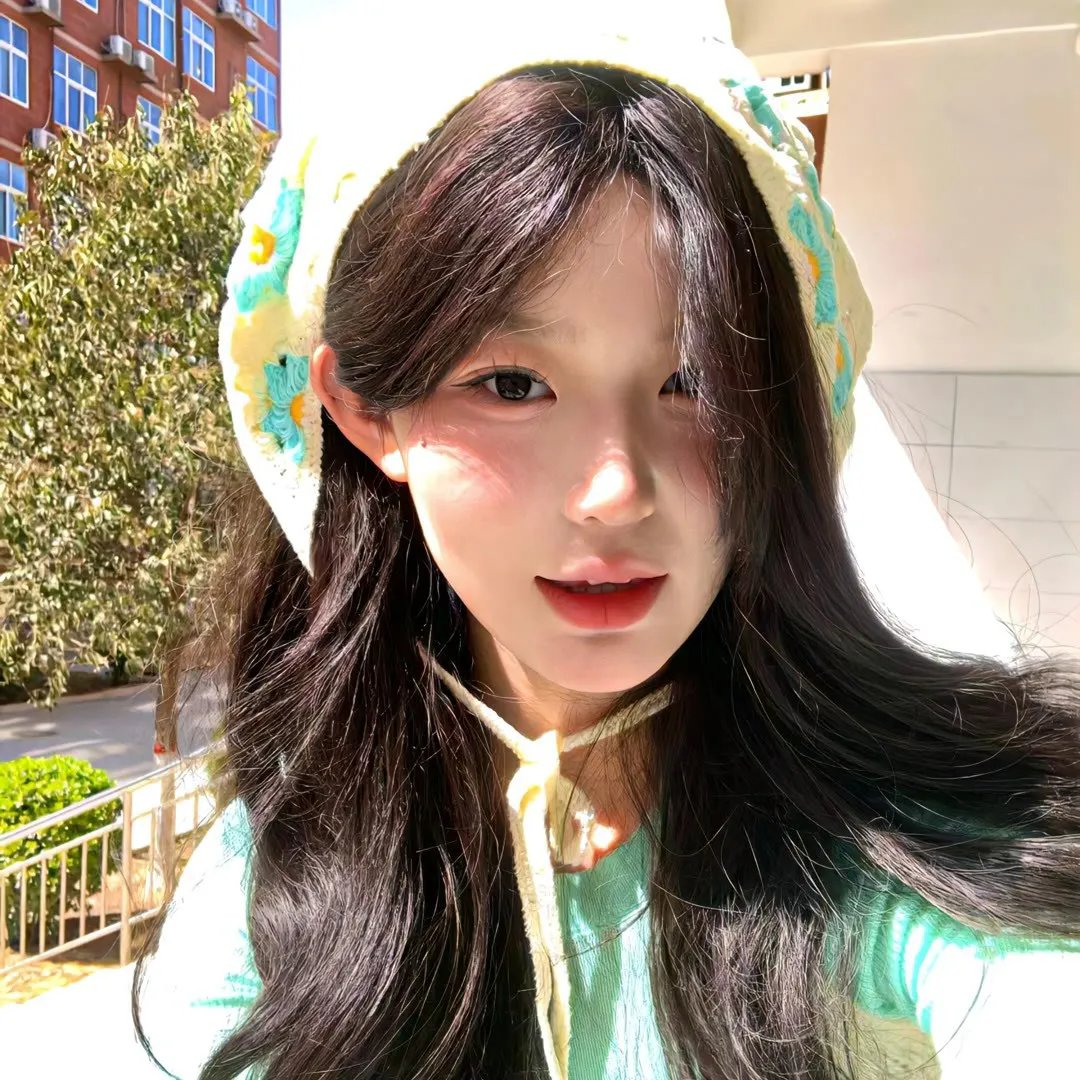 圣诞狗狗救援